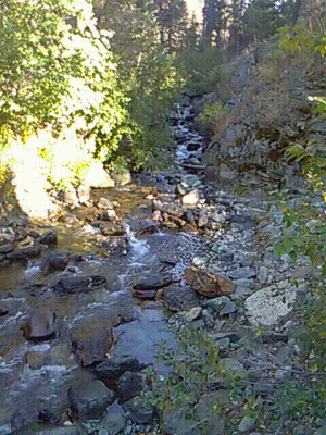 Gilbert Mountain North Creek Trail