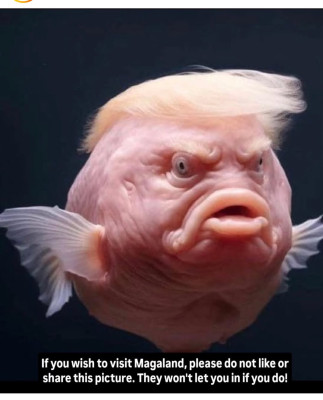 Screenshot 2025-06-29 at 7.11.58 AM.jpeg